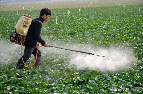 防治作物病毒病 细菌和真菌病害,这4种抗生素类生物农药就很好