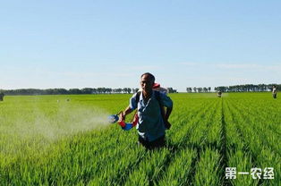 生物农药是什么 生物农药的类型介绍